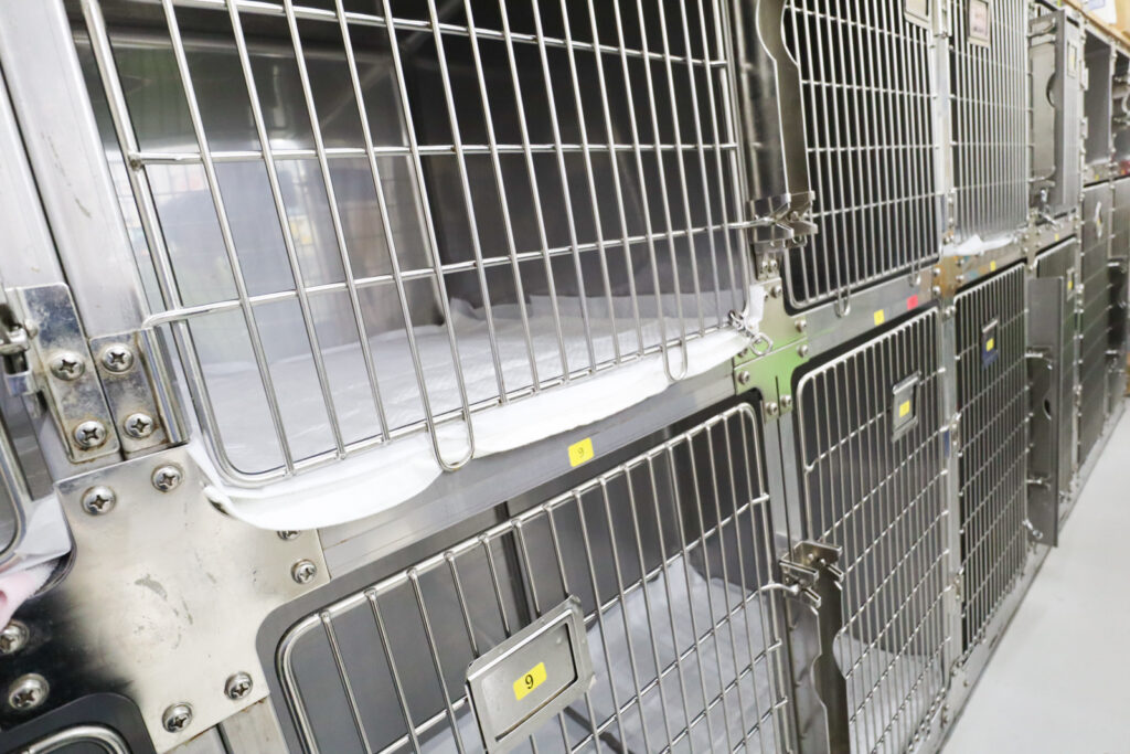 ペットホテル(犬舎)